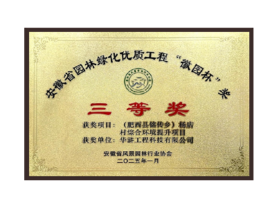 石嘴山荣获2025“徽园杯”奖三等奖