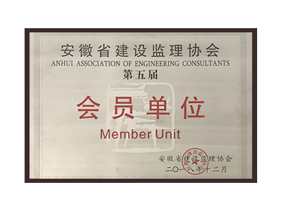 石嘴山安徽省建设监理协会